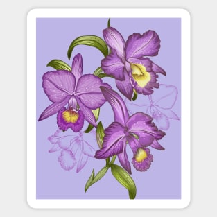 Hand drawn graphic art of orchid flowers. Sticker